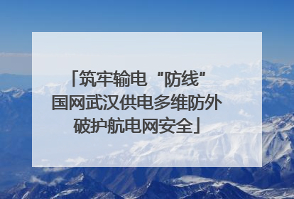 筑牢输电“防线” 国网武汉供电多维防外破护航电网安全