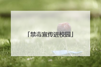 禁毒宣传进校园