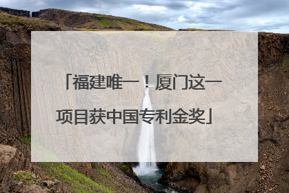 福建唯一！厦门这一项目获中国专利金奖