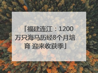 福建连江：1200万只海马历经8个月培育 迎来收获季