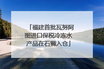 福建首批瓦努阿图进口保税冷冻水产品在石狮入仓
