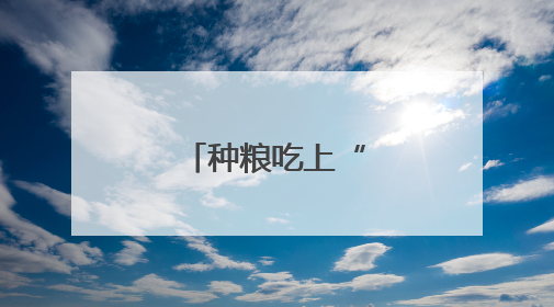 种粮吃上“定心丸”