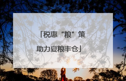 税惠“粮”策助力夏粮丰仓