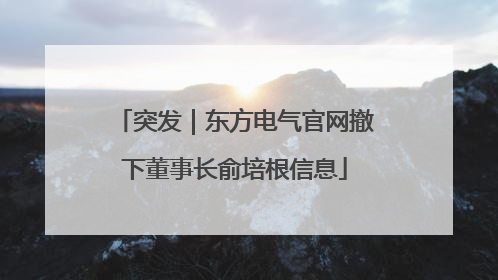 突发｜东方电气官网撤下董事长俞培根信息