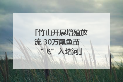 竹山开展增殖放流 30万尾鱼苗“飞”入堵河