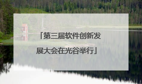 第三届软件创新发展大会在光谷举行