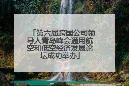 第六届跨国公司领导人青岛峰会通用航空和低空经济发展论坛成功举办