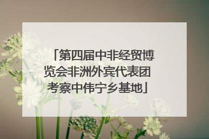 第四届中非经贸博览会非洲外宾代表团考察中伟宁乡基地