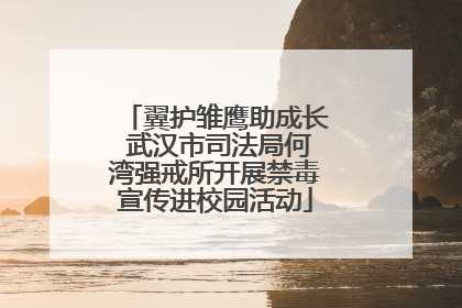 翼护雏鹰助成长 武汉市司法局何湾强戒所开展禁毒宣传进校园活动