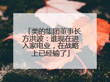 美的集团董事长方洪波：谁现在进入家电业，在战略上已经输了
