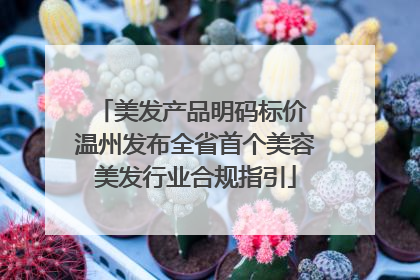 美发产品明码标价 温州发布全省首个美容美发行业合规指引