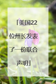 美国22位州长发表了一份联合声明