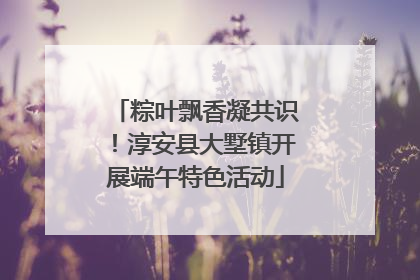 粽叶飘香凝共识！淳安县大墅镇开展端午特色活动
