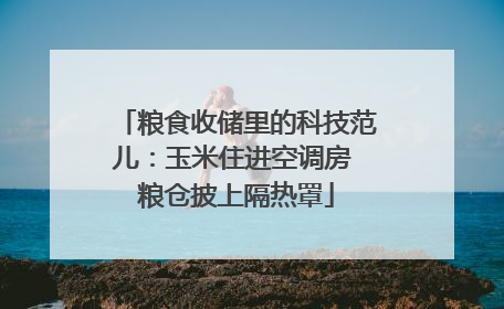 粮食收储里的科技范儿：玉米住进空调房 粮仓披上隔热罩