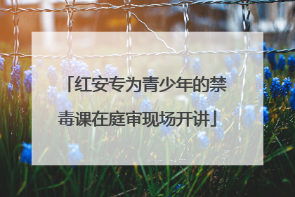 红安专为青少年的禁毒课在庭审现场开讲