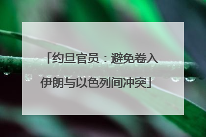 约旦官员：避免卷入伊朗与以色列间冲突