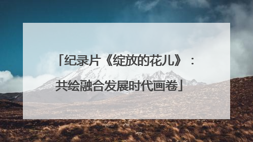 纪录片《绽放的花儿》：共绘融合发展时代画卷