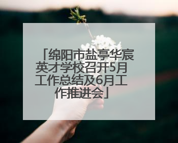 绵阳市盐亭华宸英才学校召开5月工作总结及6月工作推进会