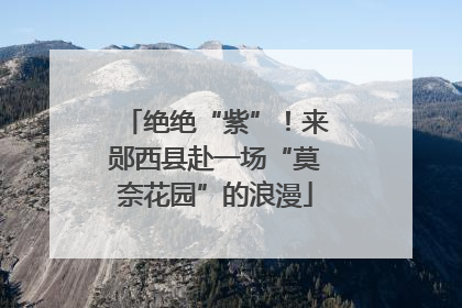绝绝“紫”！来郧西县赴一场“莫奈花园”的浪漫