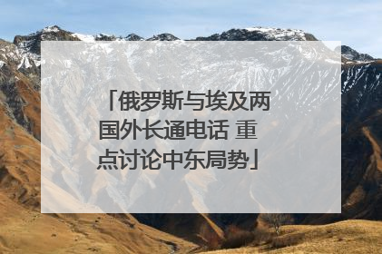 俄罗斯与埃及两国外长通电话 重点讨论中东局势