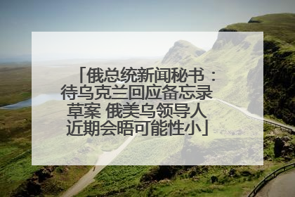俄总统新闻秘书：待乌克兰回应备忘录草案 俄美乌领导人近期会晤可能性小