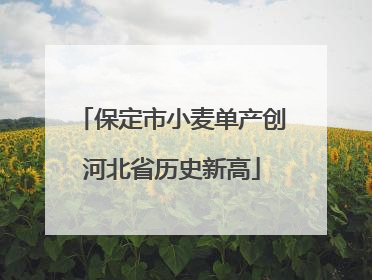 保定市小麦单产创河北省历史新高