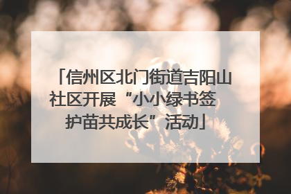 信州区北门街道吉阳山社区开展“小小绿书签 护苗共成长”活动