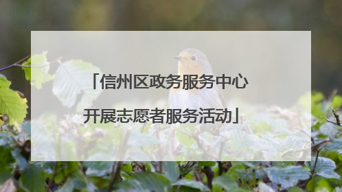 信州区政务服务中心开展志愿者服务活动