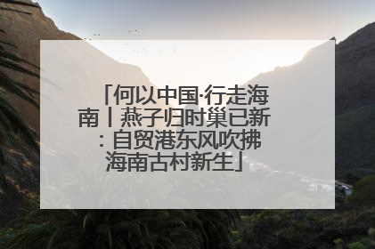 何以中国·行走海南丨燕子归时巢已新：自贸港东风吹拂 海南古村新生