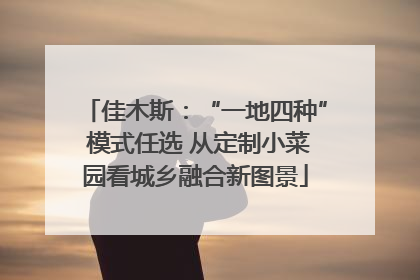 佳木斯：“一地四种” 模式任选 从定制小菜园看城乡融合新图景