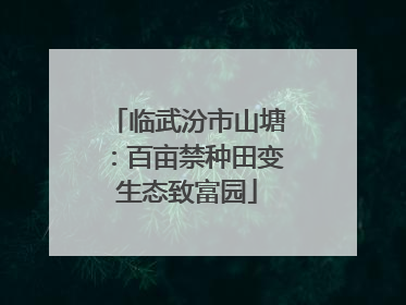 临武汾市山塘：百亩禁种田变生态致富园