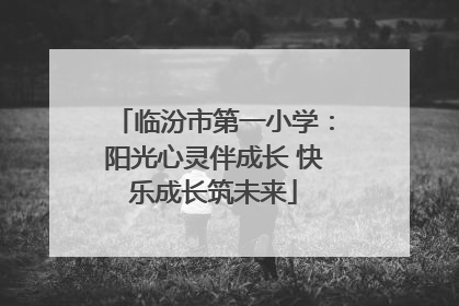 临汾市第一小学：阳光心灵伴成长 快乐成长筑未来