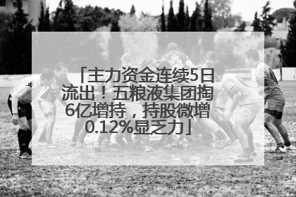 主力资金连续5日流出！五粮液集团掏6亿增持，持股微增0.12%显乏力