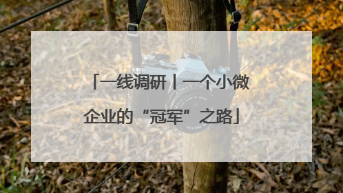 一线调研丨一个小微企业的“冠军”之路