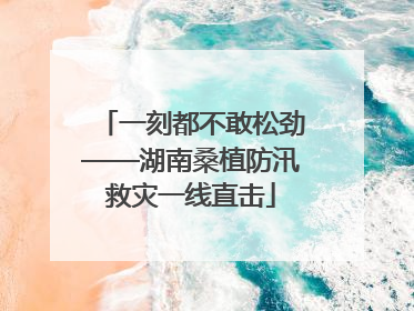 一刻都不敢松劲——湖南桑植防汛救灾一线直击