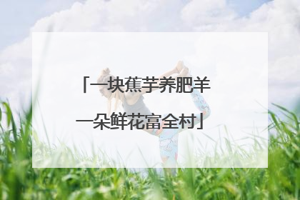 一块蕉芋养肥羊 一朵鲜花富全村