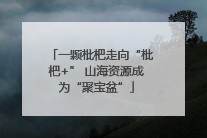 一颗枇杷走向“枇杷+” 山海资源成为“聚宝盆”