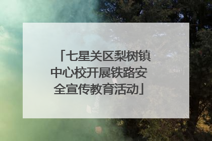 七星关区梨树镇中心校开展铁路安全宣传教育活动