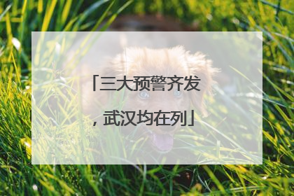 三大预警齐发，武汉均在列
