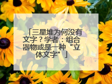 三星堆为何没有文字？学者：组合器物或是一种“立体文字”