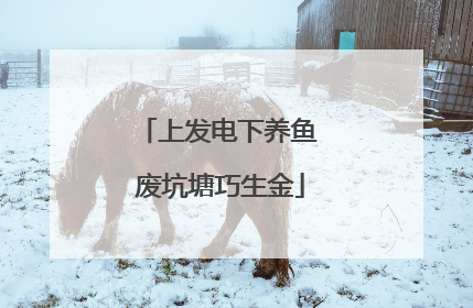上发电下养鱼 废坑塘巧生金