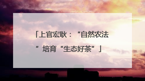 上官宏耿：“自然农法”培育“生态好茶”
