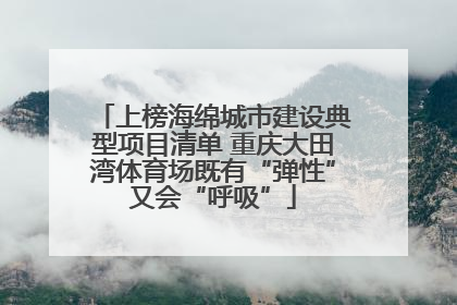 上榜海绵城市建设典型项目清单 重庆大田湾体育场既有“弹性”又会“呼吸”