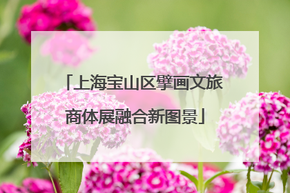 上海宝山区擘画文旅商体展融合新图景