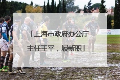 上海市政府办公厅主任王平，履新职
