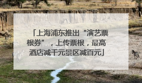 上海浦东推出“演艺票根券”，上传票根，最高酒店减千元景区减百元