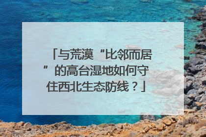 与荒漠“比邻而居”的高台湿地如何守住西北生态防线？