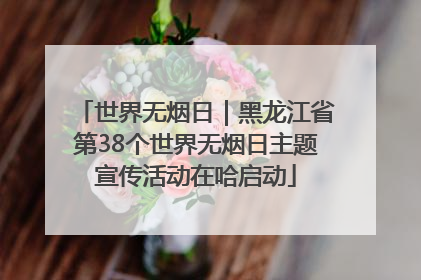 世界无烟日｜黑龙江省第38个世界无烟日主题宣传活动在哈启动