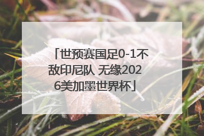 世预赛国足0-1不敌印尼队 无缘2026美加墨世界杯