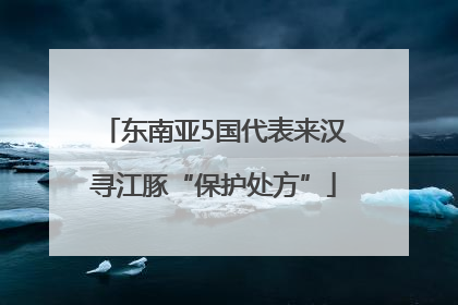 东南亚5国代表来汉寻江豚“保护处方”